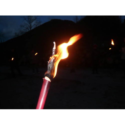 Bild 8 zum Block 1159