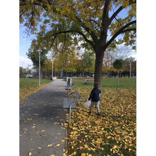 Bild 3 zum Block 2207