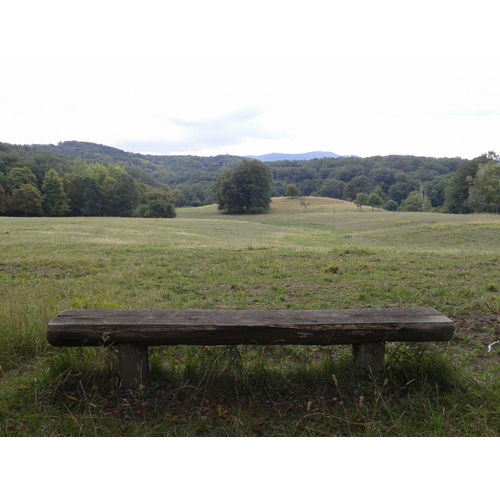 Bild 11 zum Block 1229