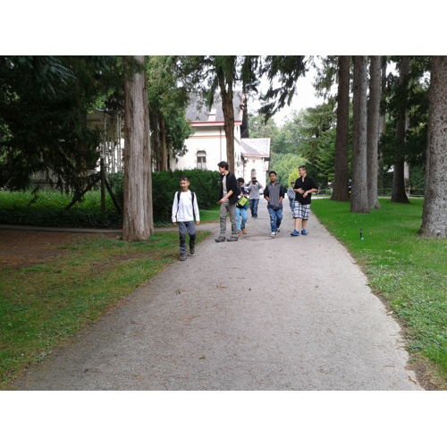 Bild 6 zum Block 1229