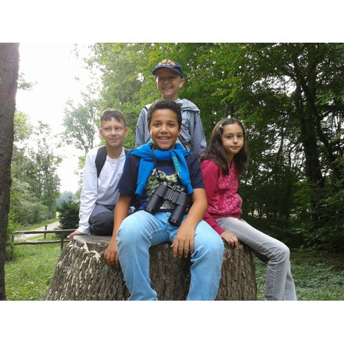 Bild 5 zum Block 1229